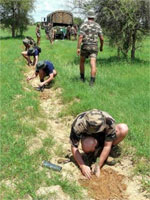 Africa Great Green Wall