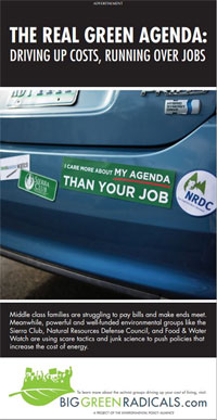 Big Green Radicals