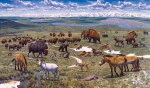 Wildlife Mammoths in Arctic