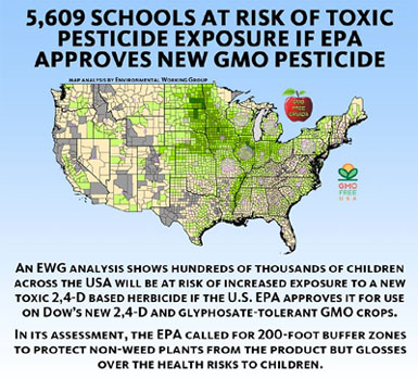 GMO Dow Enlist