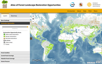 Forest Restoration Map