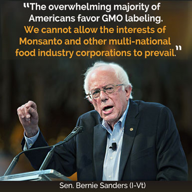 GMO Bernie