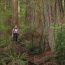 Devils Stair Wilderness_Oregon