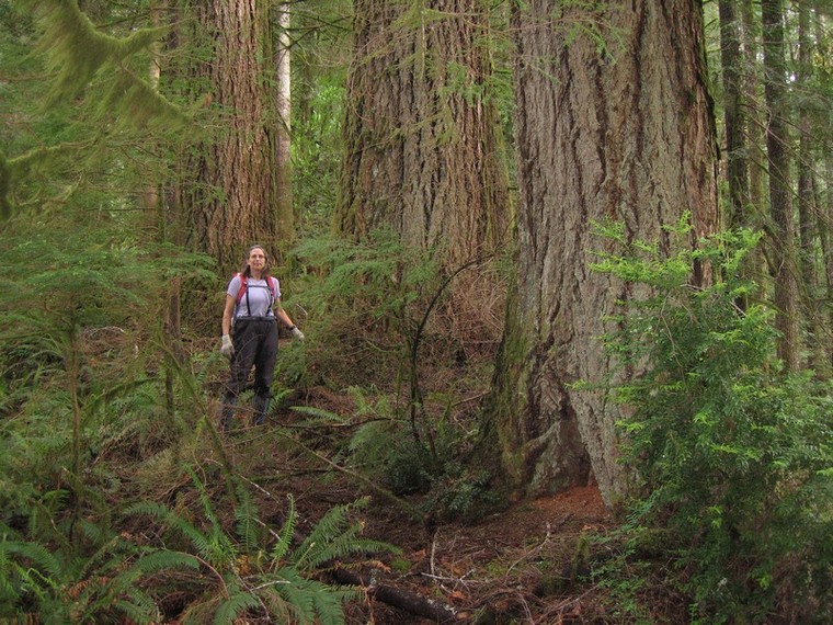 Devils-Stair-Wilderness_Oregon.jpg