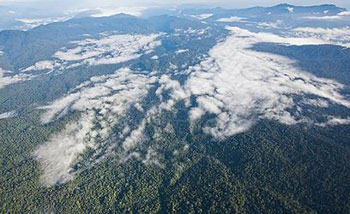 Indonesia Leuser