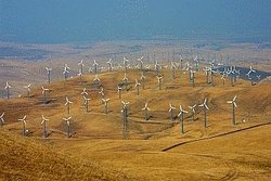 Wind Farm Altamont Pass