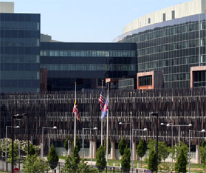 Bird Friendly building