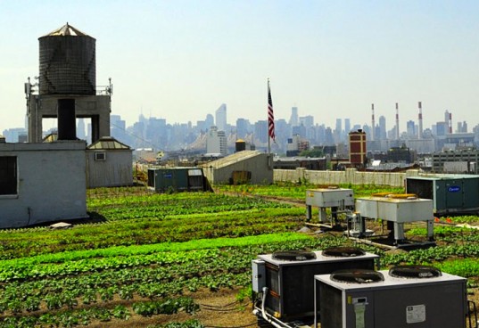 Brooklyn Grange