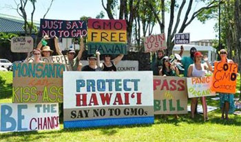 GMO Hawaii