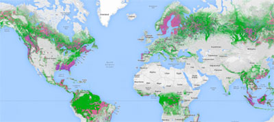 Forests - Global Forest Watch