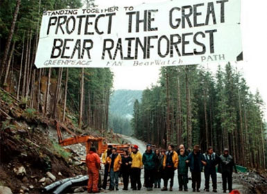 Rainforest Great Bear Protest