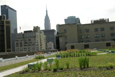 Green Roof Post Office