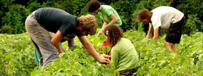 Hampshire College Farm