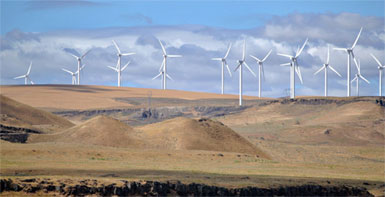 Wind Farm Hidalgo Texas