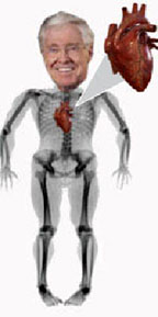 Koch with heart