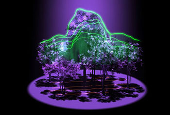 NASA Forests