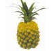 Pineapplethumb.jpg