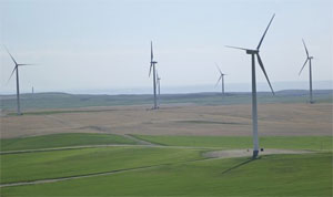 Wind Farm RimRock Montana