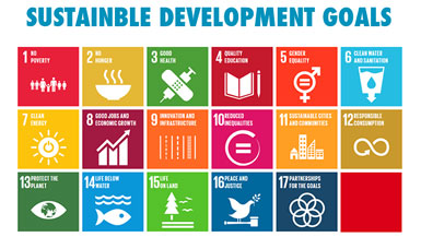 Sustainable Development Goals 2030