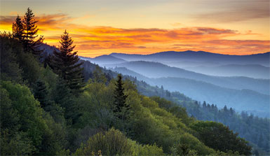 Smokies