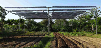 Japan Solar Pergola