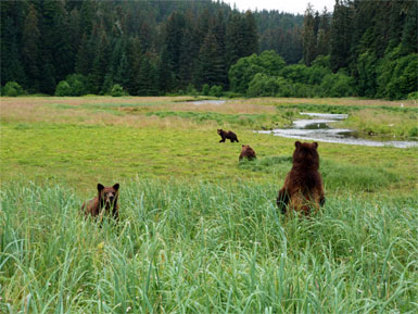 Tongass Alaska