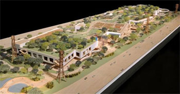 Facebook Green Roof