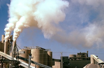 WWF Coal