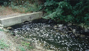 Water: industrial discharge