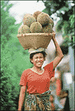 Woman with Basket