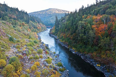 Carbon Offset Yurok Land