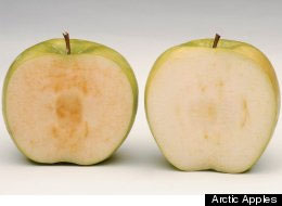 /imageupload/apple1.jpg