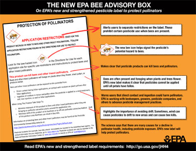 Bee Label