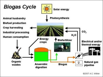 Biogas