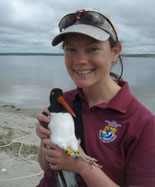 Oystercatcher Wind Farms