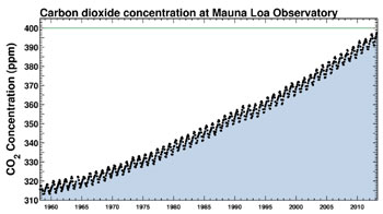 Carbon Concentration