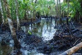 Chevron oil pollution Amazon