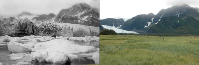 Climate Change Pedersen Glacier Alaska