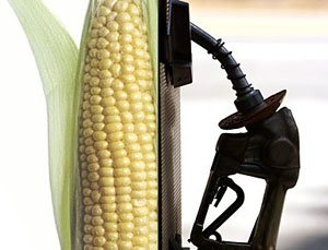 Corn Ethanol