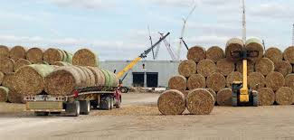 Biofuels Corn Stover