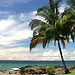 costarica-beach-hotelthumb.jpg