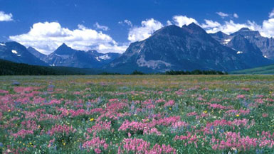 Crown of the Continent: Glacier National Park
