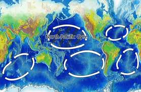 Pacific Gyre Dead Zones