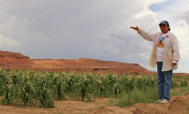 Dryfarming