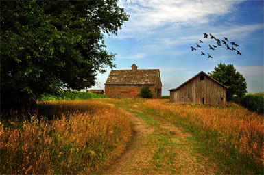 Farm