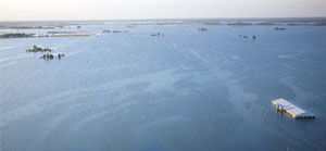 Farms flooded