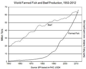 Fish vs Beef