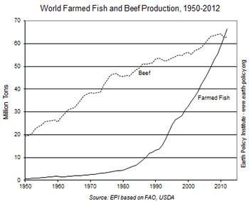 fish-vs-beef-final.jpg