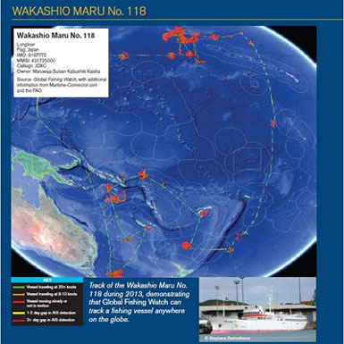 Fish Global Fishing Watch