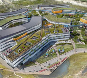 google-green-roof.jpg